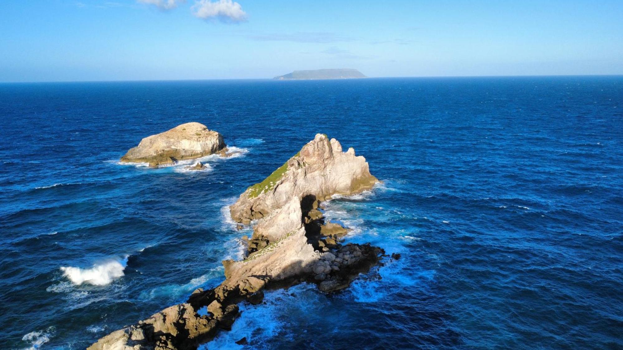 Saint-François, Anse des Rochers, Magnolias do Brasil Saint-Francois (Grande-Terre) Exterior foto